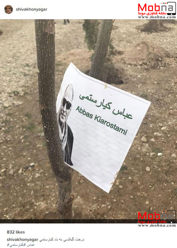 درختکاری هنرمندان و کاشت درختی به نام عباس کیارستمی (عکس)