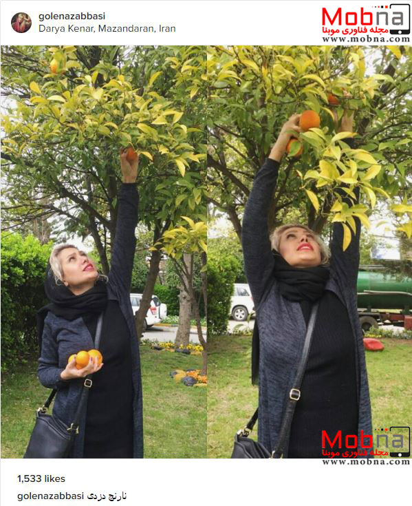 نارنج دزدی گل ناز عباسی در مازندران! (عکس)