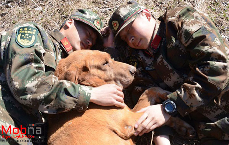 سگ بمب یاب پس از هفت سال خدمت بازنشسته می شود! (+عکس)