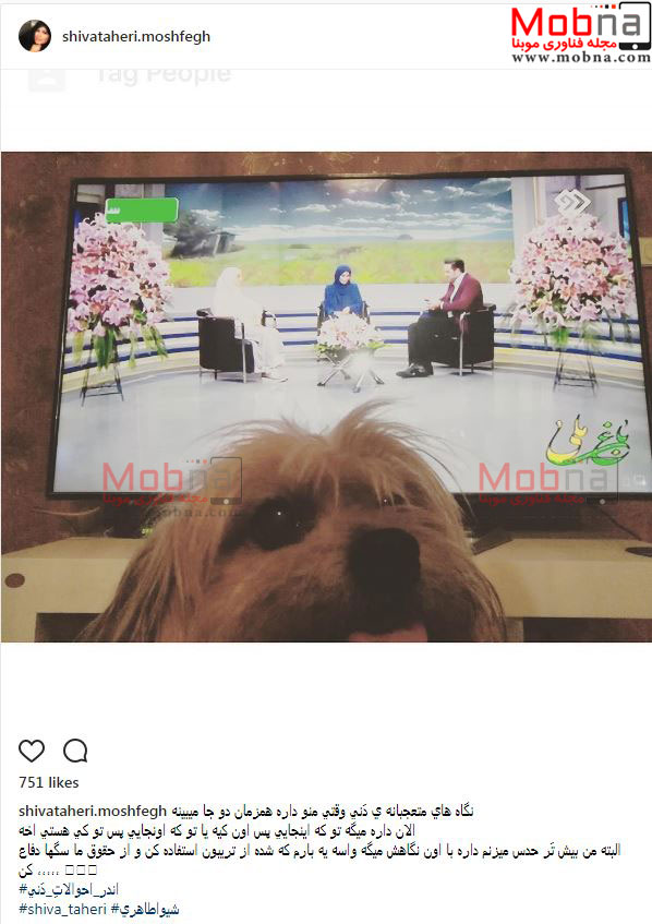 ظاهر سگ خانگی شیوا طاهری با دیدن صاحبش در تلویزیون! (عکس)