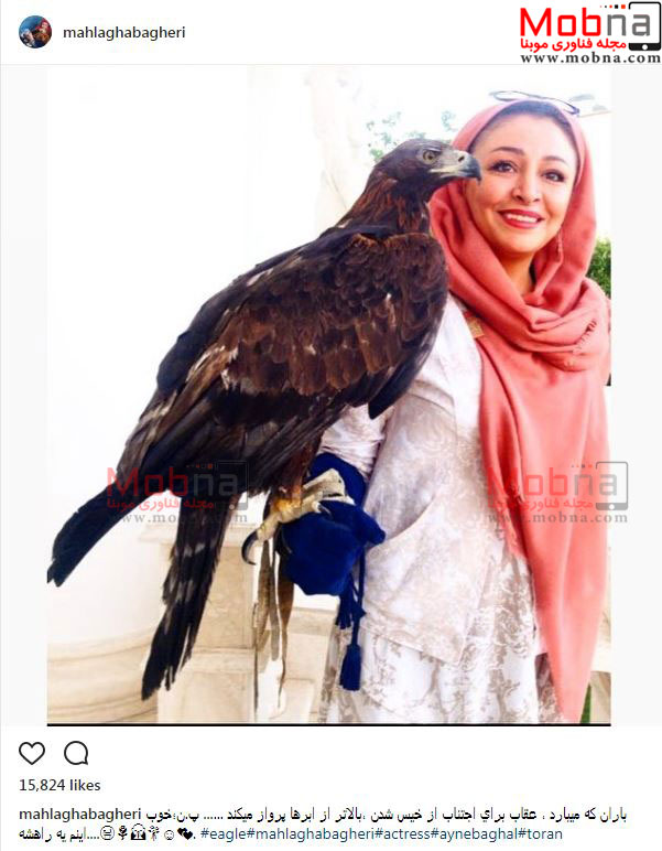 چهره مضطرب همسر جواد عزتی در کنار عقاب غول پیکر! (عکس)