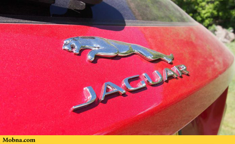 7 jaguar badge