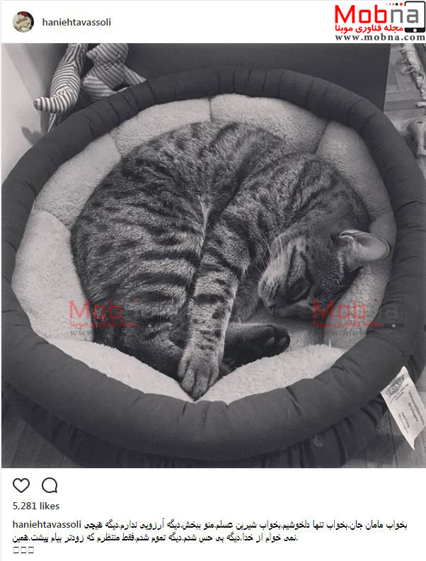 افسردگی هانیه توسلی، بعد از مرگ گربه اش! (عکس)