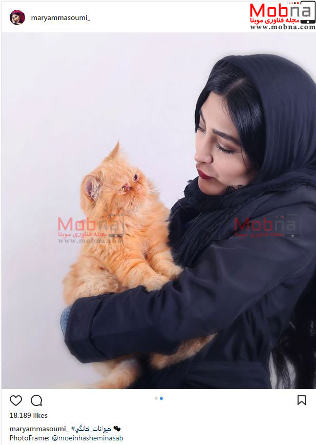 مریم معصومی به همراه گربه خانگی اش (عکس)