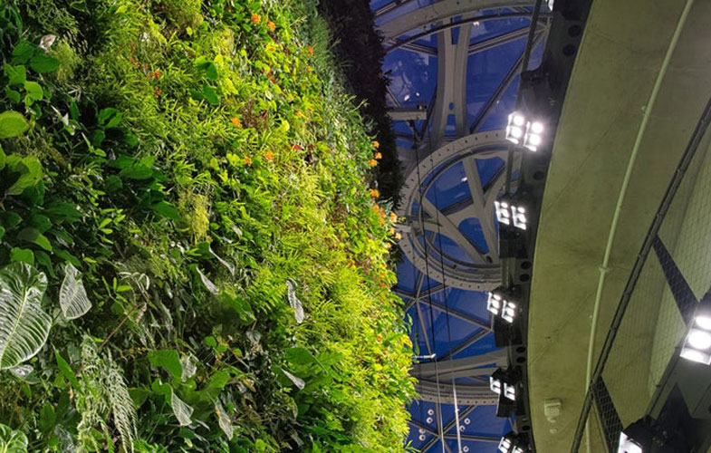 مقر جدید آمازون را با بیش از ۴۰ هزار گیاه ببینید (+تصاویر)