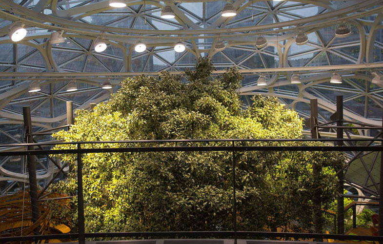 مقر جدید آمازون را با بیش از ۴۰ هزار گیاه ببینید (+تصاویر)
