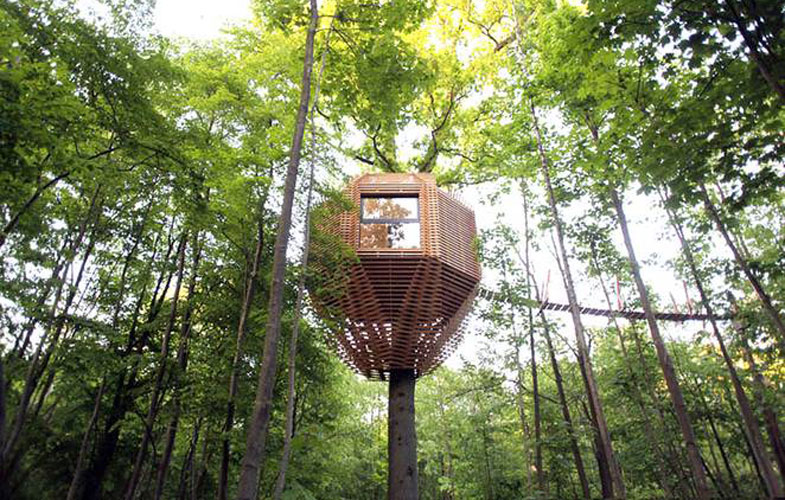 ساخت خانه های لوکس در نوک درختان (+فیلم و عکس)