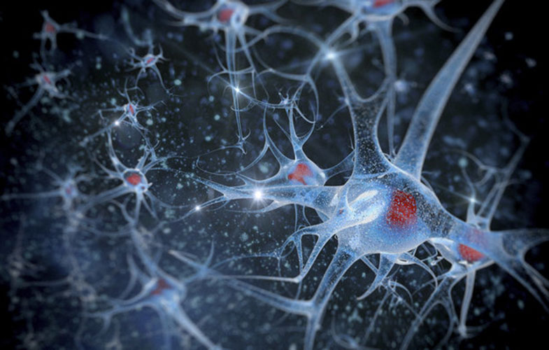 نزدیک‌تر شدن هوش مصنوعی به مغز با «سیناپس مصنوعی»
