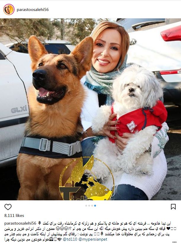 پرستو صالحی سگش را به دیدار سگ معروف حادثه پلاسکو برد (عکس)