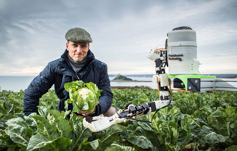 تلاش دانشمندان انگلیسی برای راحت تر کردن کشاورزی با کمک ربات‌ها