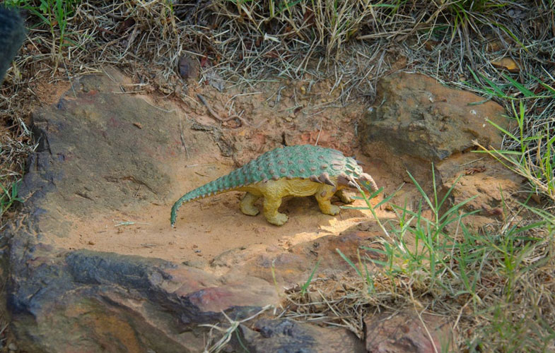 کشف تخته سنگی که نشان می‌دهد دایناسورها و پستانداران در تعامل بوده‌اند (+عکس)