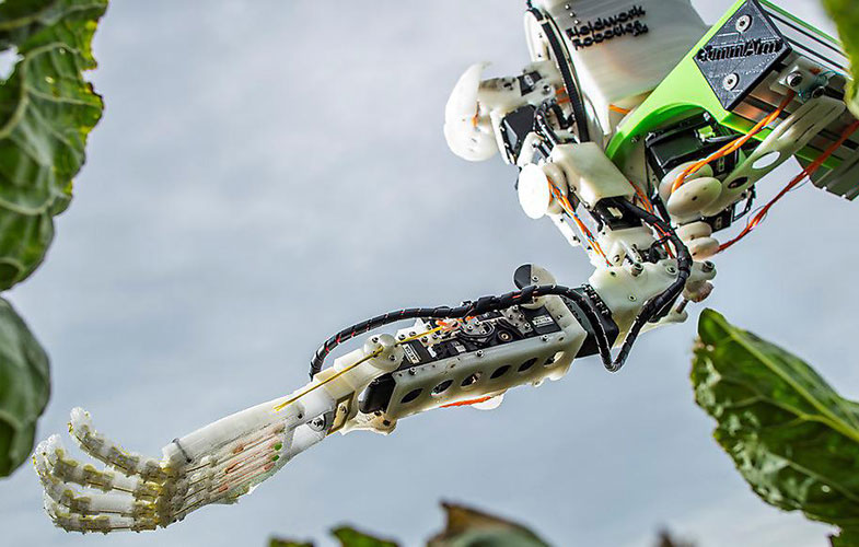 تلاش دانشمندان انگلیسی برای راحت تر کردن کشاورزی با کمک ربات‌ها