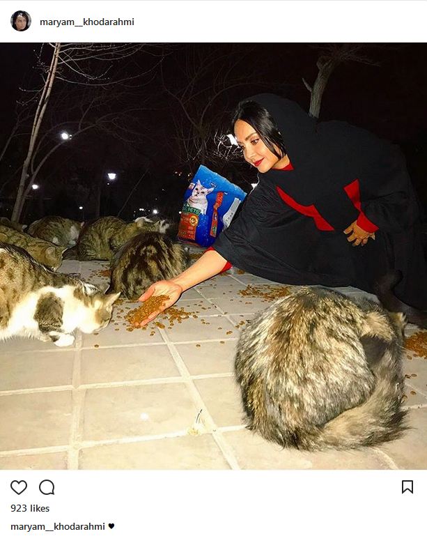 حمایت و کمک مریم خدارحمی به گربه ها (عکس)