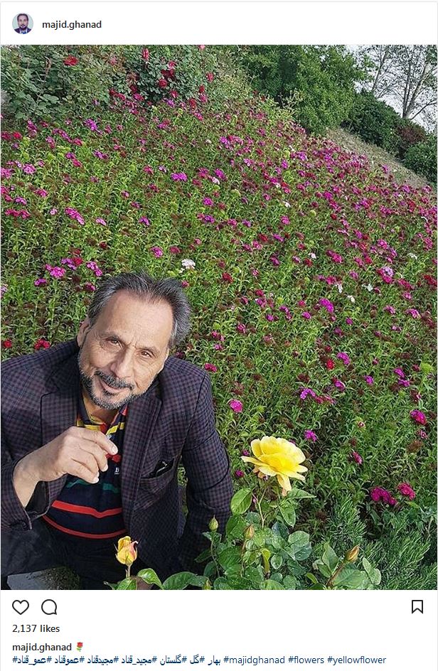 تصویری از مجید قناد در میان گلهای بهاری (عکس)