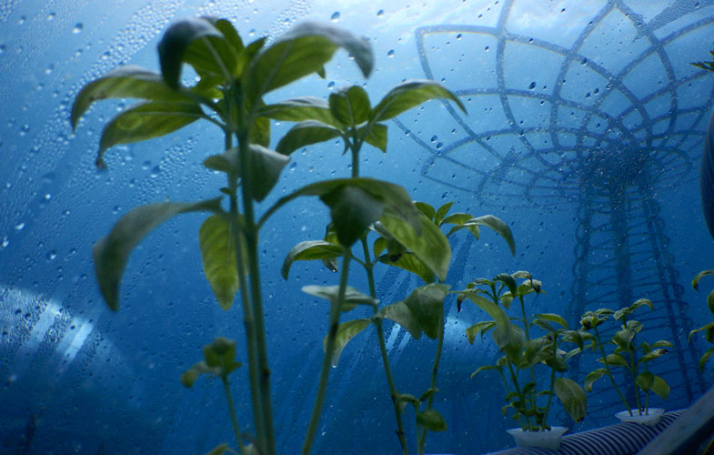 مزرعه ای در عمق ۸ متری آب های ایتالیا (+فیلم و عکس)