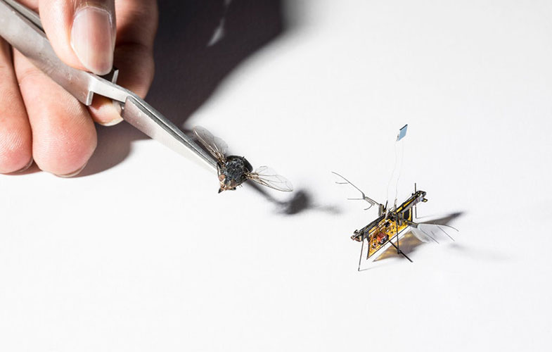 پرواز اولین میکرو ربات حشره‌نما بدون نیاز به کنترل از راه دور (+عکس و فیلم)
