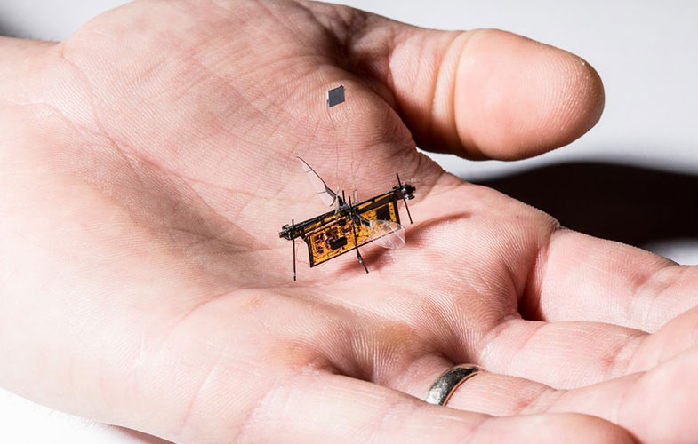 پرواز اولین میکرو ربات حشره‌نما بدون نیاز به کنترل از راه دور (+عکس و فیلم)