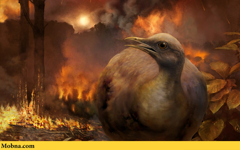 چگونه اجداد پرندگان امروزی پس از انقراض همه جنگل‌های زمین زنده ماندند؟