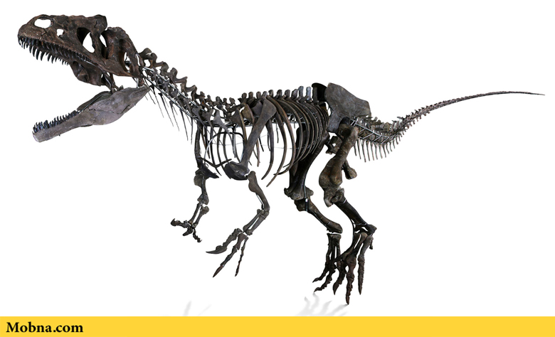 این دایناسور ۱۵۰ میلیون ساله به فروش می‌رسد (+عکس)