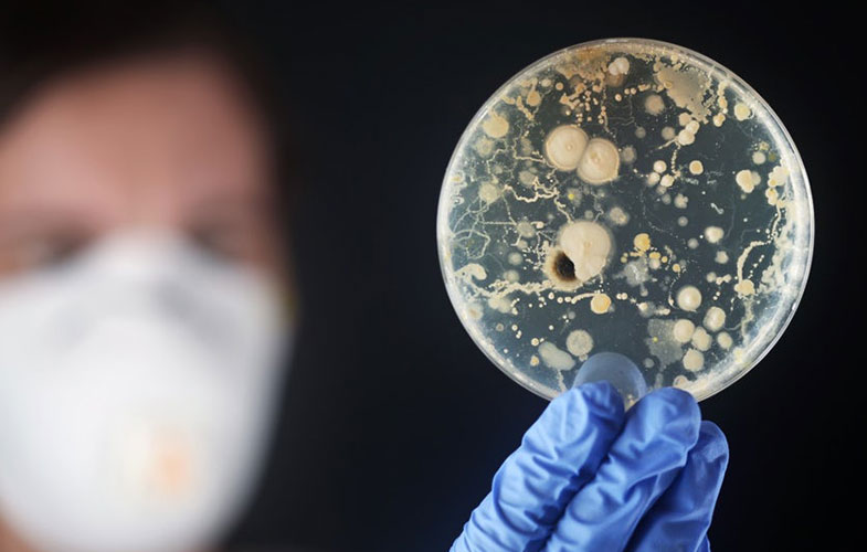 ترکیب جدیدی برای مبارزه با باکتری‌های مقاوم