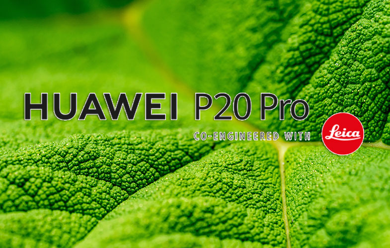 عکس‌هایی واضح با گوشی HUAWEI P20 Pro، حتی با بزرگنمایی ۵ برابری!