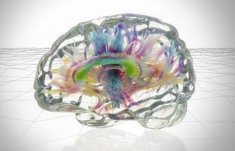 چاپ سه‌بعدی مغز انسان برای درمان آسان‌تر بیماری‌ها