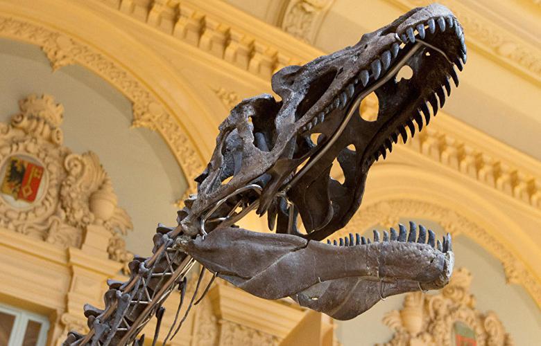 این دایناسور ۱۵۰ میلیون ساله به فروش می‌رسد (+عکس)
