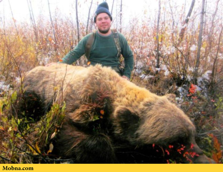 بزرگترین خرس‌هایی که روی زمین پا گذاشتند (+عکس)