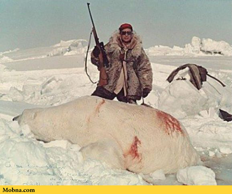 6 World Record Polar bear