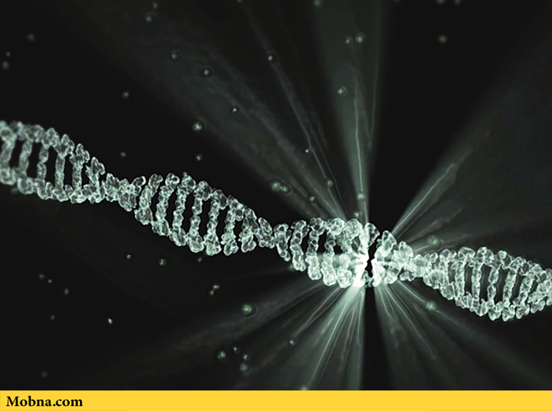 آیا اطلاعات DNA حریم شخصی محسوب می‌شود؟