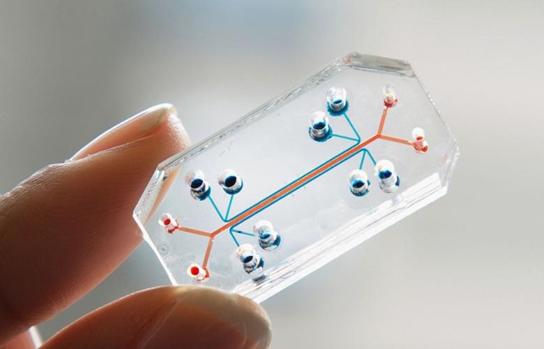 این تراشه کوچک همه میکروب‌های بدن شما را اسکن می‌کند! (+عکس)