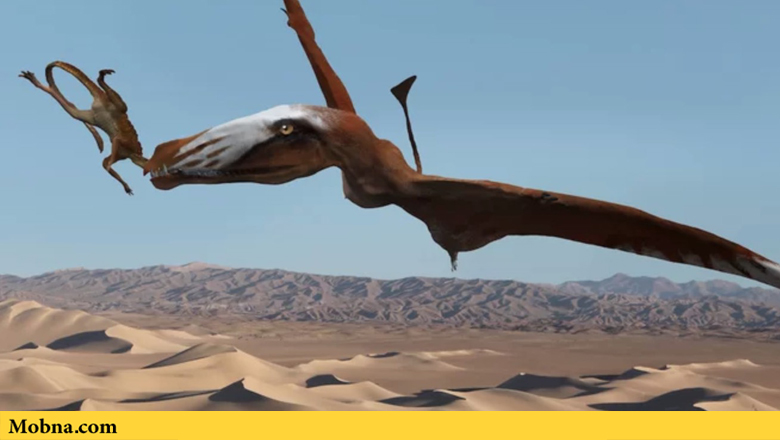 The world’s oldest pterosaur 3