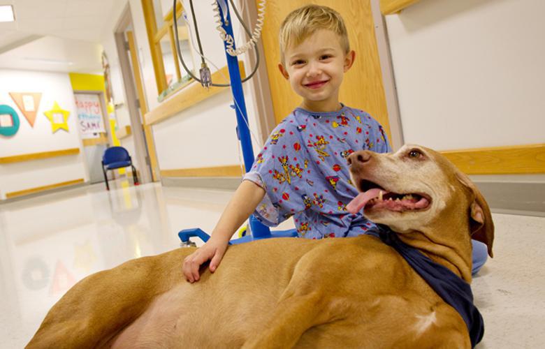 سگ‌ها دستیار جدید پزشکان برای درمان کودکان (+عکس)