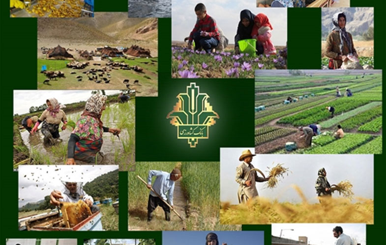 پرداخت بیش از ۱۶۰۰۰ میلیارد ریال تسهیلات ارزان قیمت برای اشتغال پایدار روستاییان و عشایر توسط بانک کشاورزی