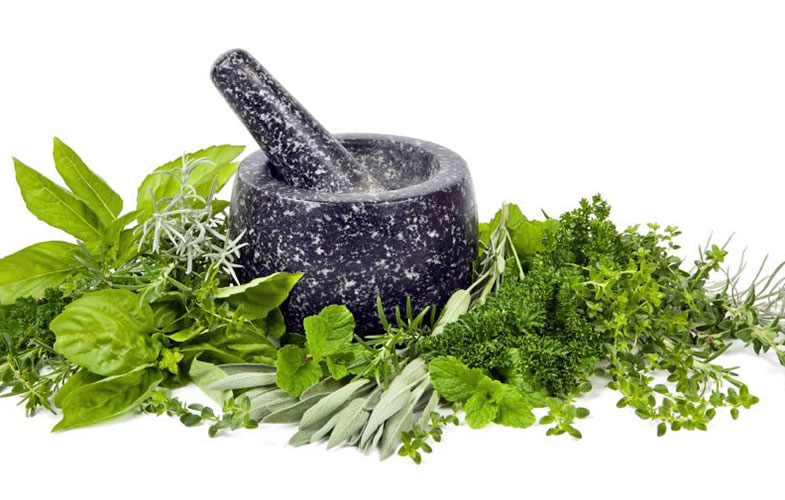 13 Herbs Grinder Ways To Keep Food Fresher