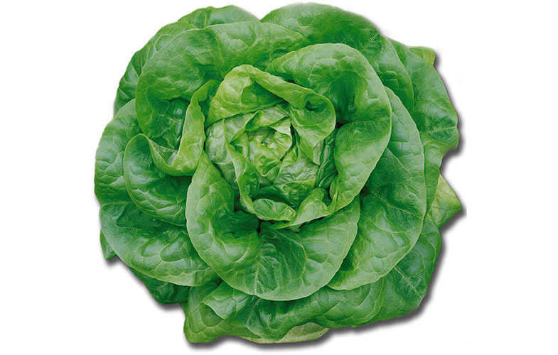 14 Lettuce Green Ways To Keep Food Fresher