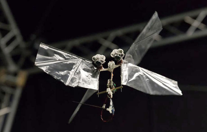 ساخت رباتی که مانند یک حشره واقعی پرواز می‌کند