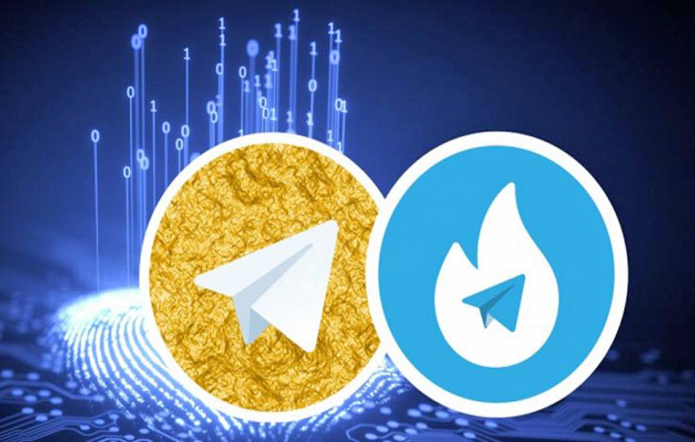 ۲ هزار سرور با ارز دولتی برای هاتگرام و تلگرام طلایی وارد می‌شود
