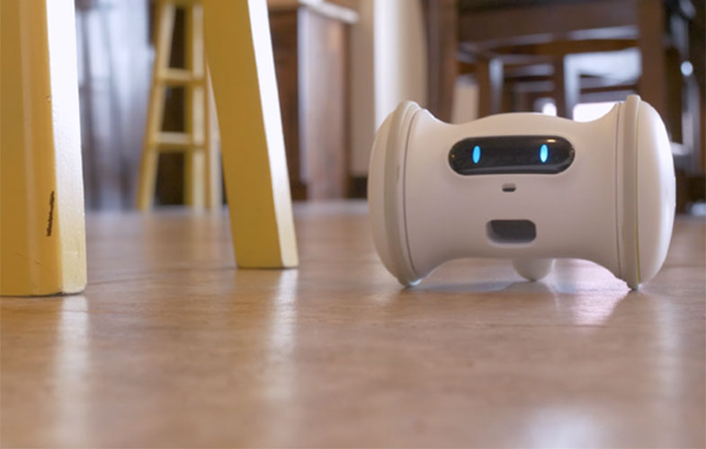 رباتی برای سرگرمی حیوانات خانگی! (+فیلم و عکس)
