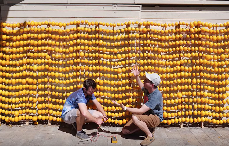 ساخت یک باتری پرقدرت با ۱۲۰۰ لیمو! (+فیلم)