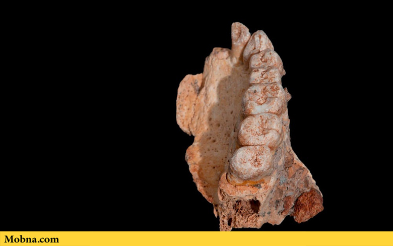 کشف نخستین فسیل انسان مدرن با قدمت ۲۰۰ هزار سال (+عکس)