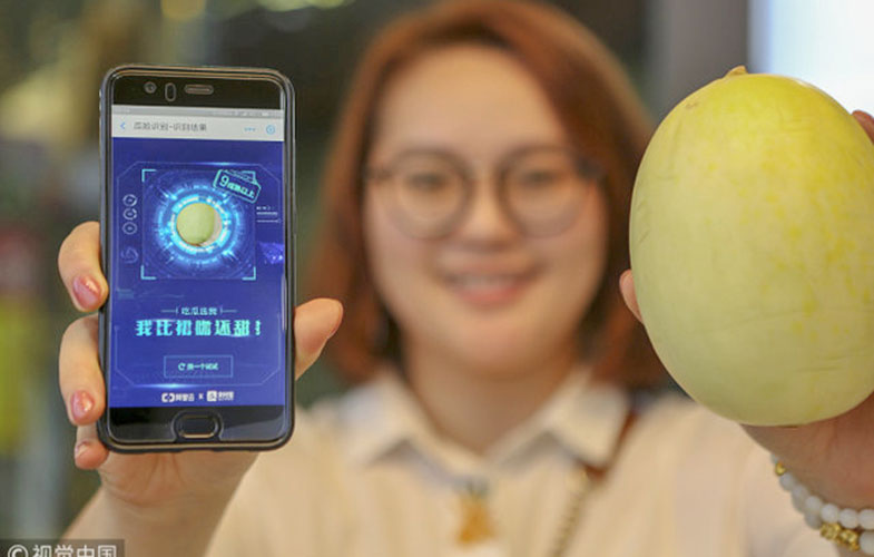 اندازه گیری میزان شیرینی یک میوه با هوش مصنوعی
