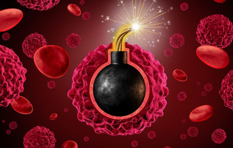 شاید «کد مرگ سلول» جایگزین شیمی درمانی شود