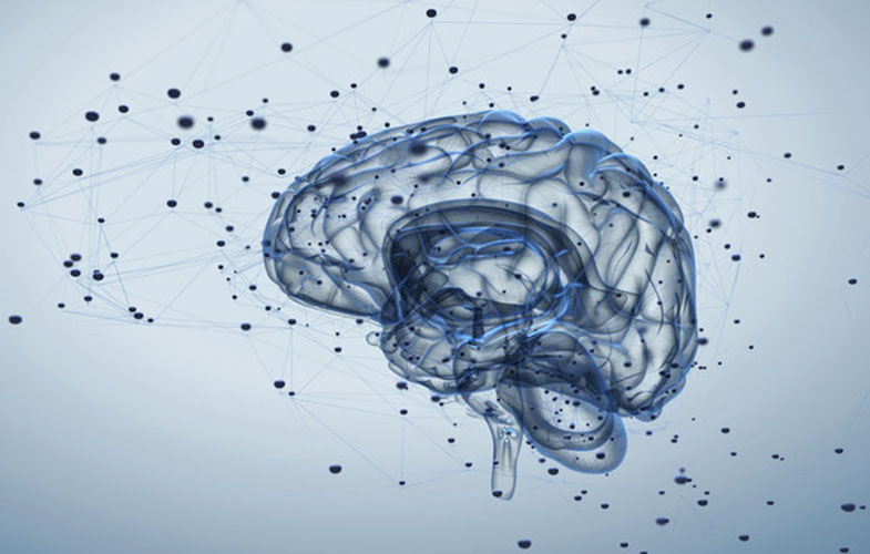 ارسال افکار مغز به دیگران با استفاده از یک شبکه مغزی