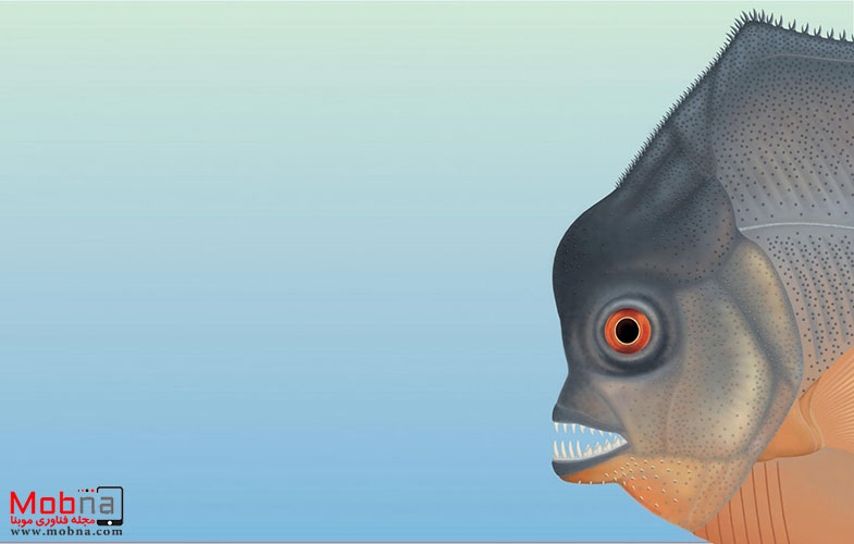شناسایی فسیل ۱۵۰ میلیون ساله از یک ماهی خونخوار (+عکس)
