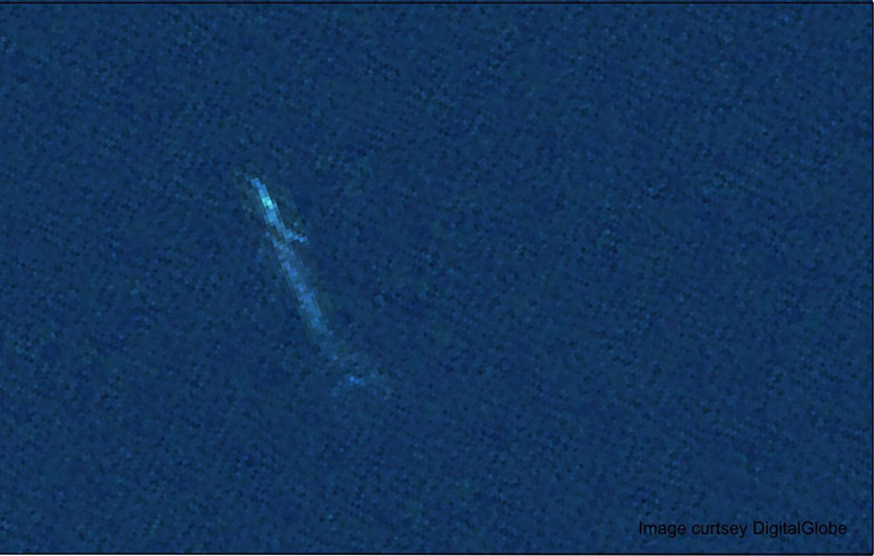 ردیابی نهنگ‌ها از فضا با کمک ماهواره (+عکس)