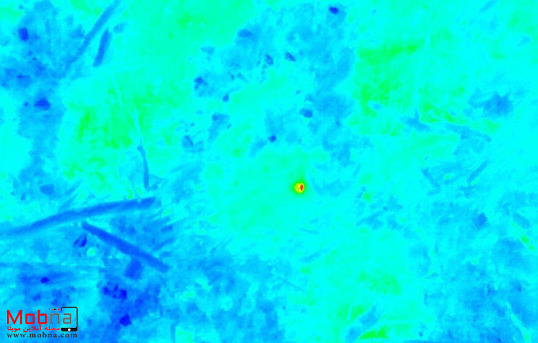 drones thermal imaging nightjars 4