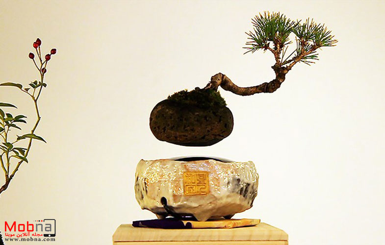floating air bonsai garden by hoshinchu defies gravity designboom 06