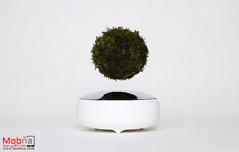floating air bonsai garden by hoshinchu defies gravity designboom 07