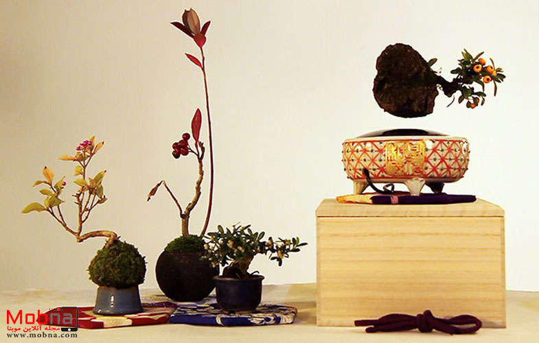 floating air bonsai garden by hoshinchu defies gravity designboom 08
